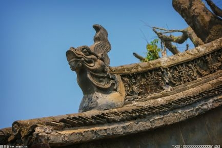 广饶：高标准农田建设打造绿色粮食生产基地