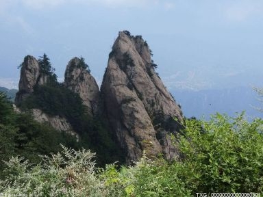 重磅！《广西壮族自治区乡村振兴促进条例》将于5月1日起实施