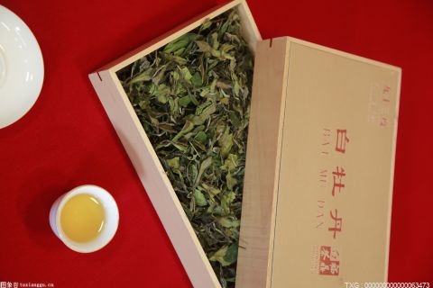 “绿茶中的大熊猫”——“牙己千年古茶”产值23.28亿元