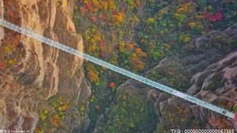 好消息！玉楚高速公路大栗树隧道右幅顺利贯通