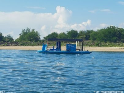 摔角狂热之爆裂震撼大赛：隆达罗西与夏洛特弗莱尔的对决