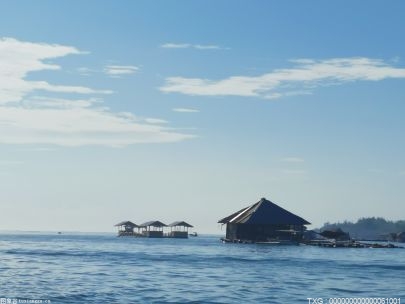 每年赚400万美元！布雷·怀亚特被解雇前在WWE的薪水曝光