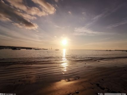 曾与女皇不和15个月后 莱西埃文斯终于回归