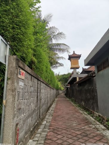 爆裂大赛发生的5件事：隆达罗西再次证明自己 夏洛特凶多吉少