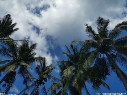 天茂集团：化合物概念股盘后涨 海普瑞领涨