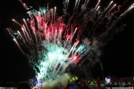 罗曼雷恩斯缺席PPV地狱牢笼大赛 下一次卫冕是什么时候