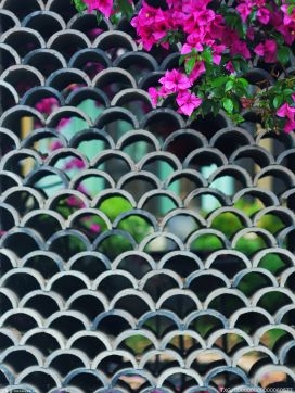 部落酋长罗曼雷恩斯将缺席铁笼密室淘汰赛？这一点令人失望