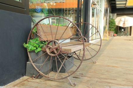 73岁老人：科迪罗兹和兰迪奥顿将在现代四骑士中取得成功