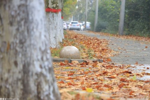 利津县陈庄镇：水肥一体化设备助力乡村振兴