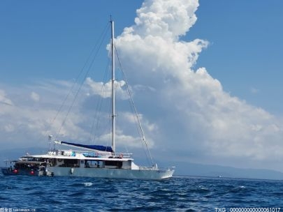 前WWE主剧情写手罗索：里德尔和兰迪奥顿将在本周统一双打