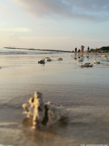鲍比·莱斯利对奥莫斯赞不绝口 称巨人是“大自然的怪物”