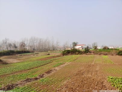 宿州萧县：有序推进高标准基本农田建设