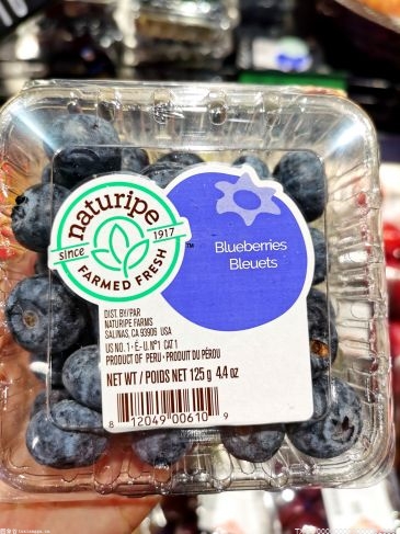 澄江蓝莓种植进入新阶段 玉溪亩产值翻了一番