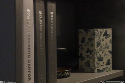 巨石强森2023年第一季度日程明确 部落酋长或成最强内战？