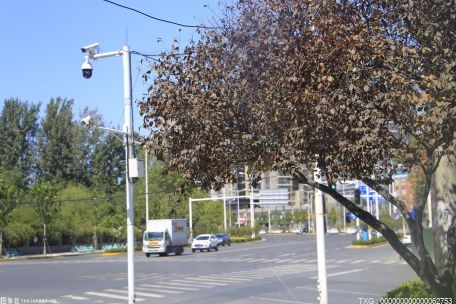 斯蒂芬妮·麦克曼宣布退出摔角擂台 大锤再回归擂台