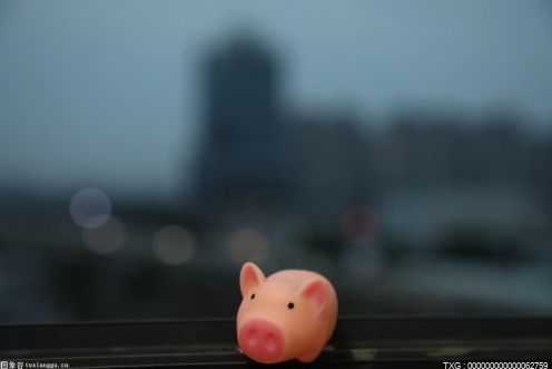 保罗·海曼:罗曼是WWE史上最具票房吸引力的存在