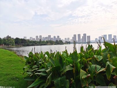 迟做总比不做好！血亲家族在Smackdown比赛中获得冠军