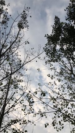 贝基林奇找到了她的方式 进入摔角狂热的势头