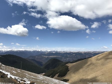 里德尔宣布兰迪奥顿受伤 上周节目收视率上升11%