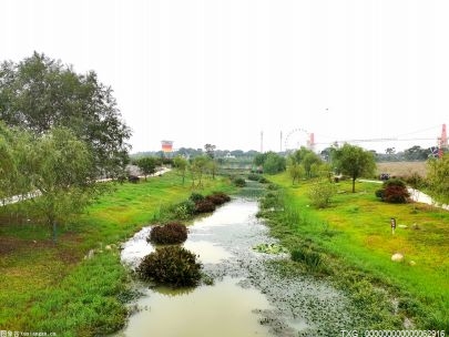 黟县西递镇开展山洪地质灾害应急演练 全力做好防汛备汛各项工作