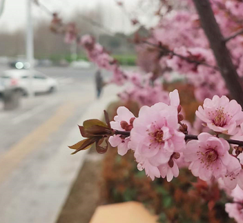 沈阳旅游高峰期到来 市民公园露营热情不减