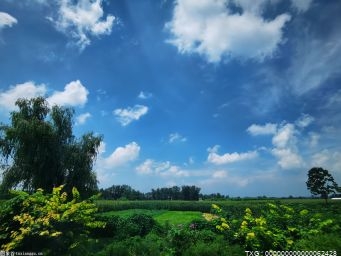 菏泽：十个功能板块迸发“磁吸力” 打造生物医药产业集群