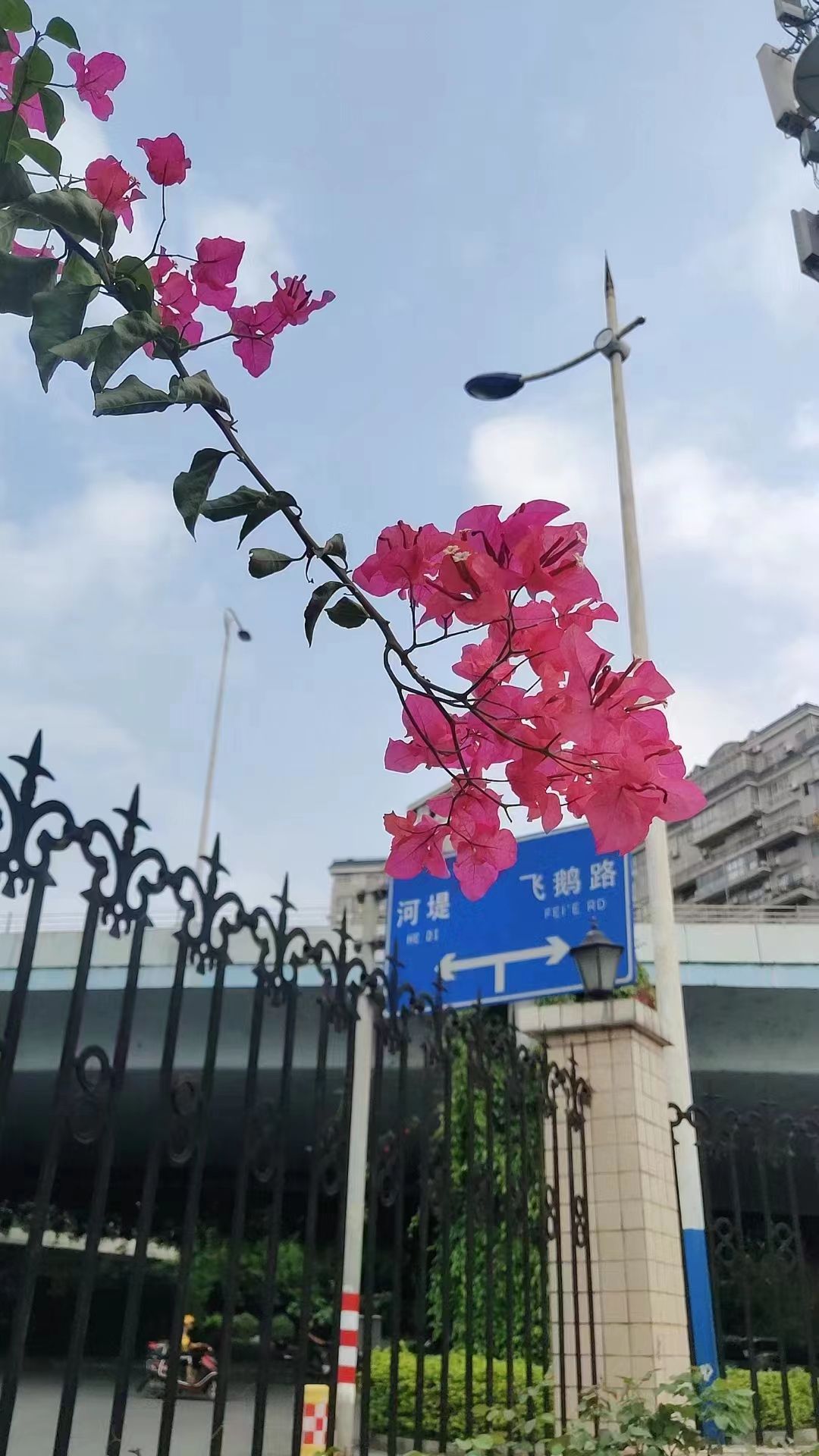 鲍比·莱斯利：将在地狱牢笼中摧毁他的竞争对手