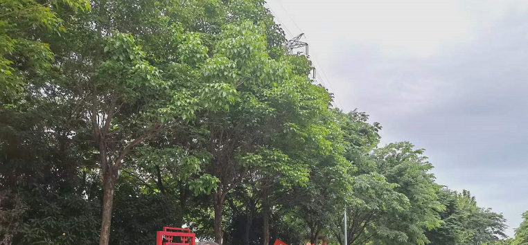 如果兰迪奥顿和里德尔分道扬镳 这三种方式会让他失去机会