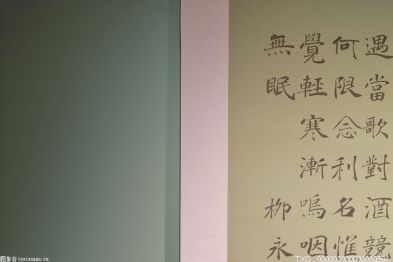 如果贝莉回归WWE她的搭档会是谁呢？敬请期待！