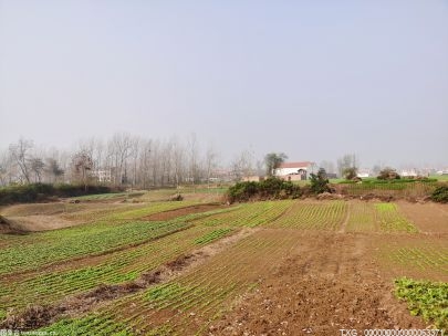  洪江市截至5月初已完成抛荒耕地整治1.3万亩