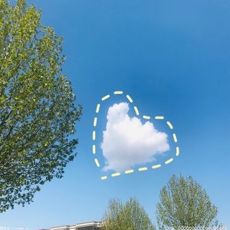 爆裂大赛：科迪·罗兹和疯癫赛斯罗林斯在地狱牢笼中上演对决