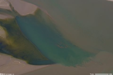 《SmackDown》收视公布：环球冠军罗曼雷恩斯无缘节目