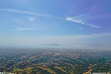 巨石强森女儿注册艾娃·瑞恩商标 为WWE开辟自己的道路