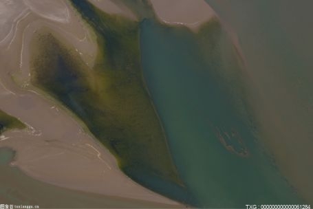 本周你可能错过5个新闻故事 科特安格对约翰塞纳提要求