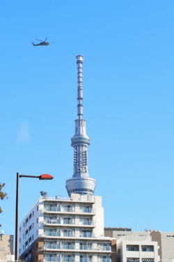 16次世界冠军约翰塞纳将回RAW 庆祝他首次亮相20年