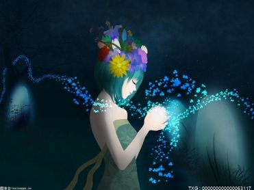 无可争议的WWE环球冠军：罗曼将不再出现在MITV中