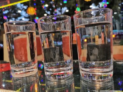 理论仔vs鲍比莱斯利：未来的全美冠军会有大事发生？