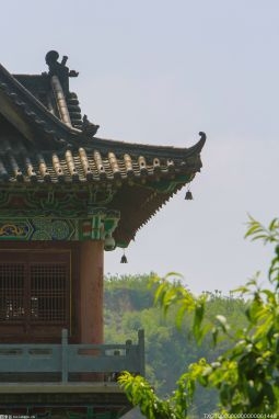 青州：人居环境整治“十日攻坚”让村子越变越美