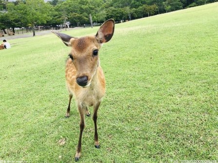 奉化警方破获一起养老诈骗案 3名老人被骗58万元