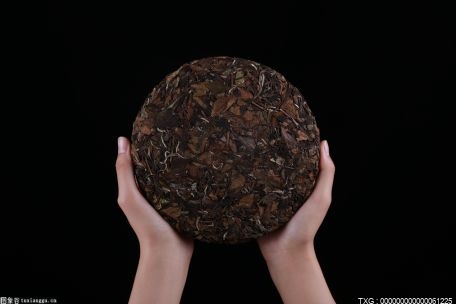 松溪县：万亩生态茶园焕发新气象 茶农人均茶叶收入1.1万元