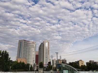 节水护水宣传进校园——深圳中学梅香学校在行动