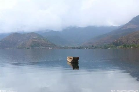 文斯·罗索：鲍比·莱斯利不是一个足以击败罗曼的可信威胁者