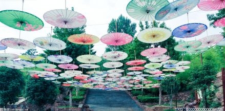 黃山風景區十大舉措帶動旅游市場穩步復蘇