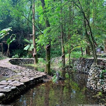 祁门县“六大森林”行动保住绿水青山