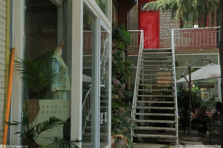 建议打造荷叶山蓝花楹品牌公园！五华区文化和旅游局这样说