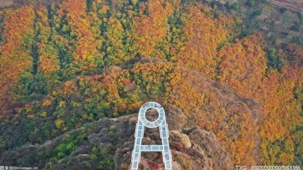 【涨停复盘】背光模组概念股午后涨 盘面赛伍技术领涨