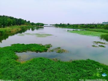 沐邦高科：终止与鄂城区政府签订光伏电池生产项目框架协议