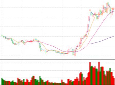 人造肉概念概念总收入同比增长中 金字火腿等9家均不足10%