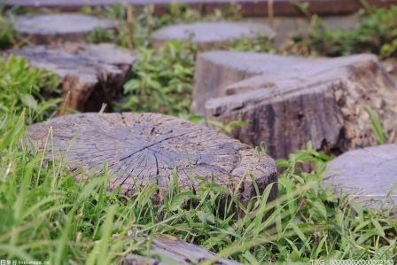 喜迎中秋、国庆“双节”甘肃发布61条金秋乡村旅游线路